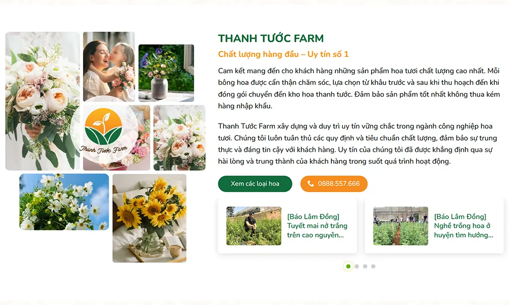 Giới thiệu 2