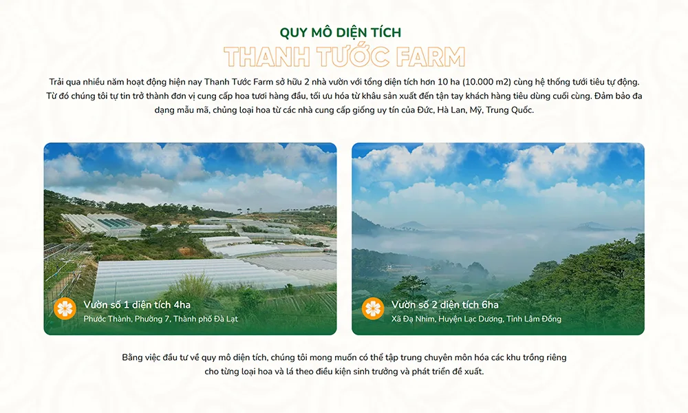 Quy mô diện tích