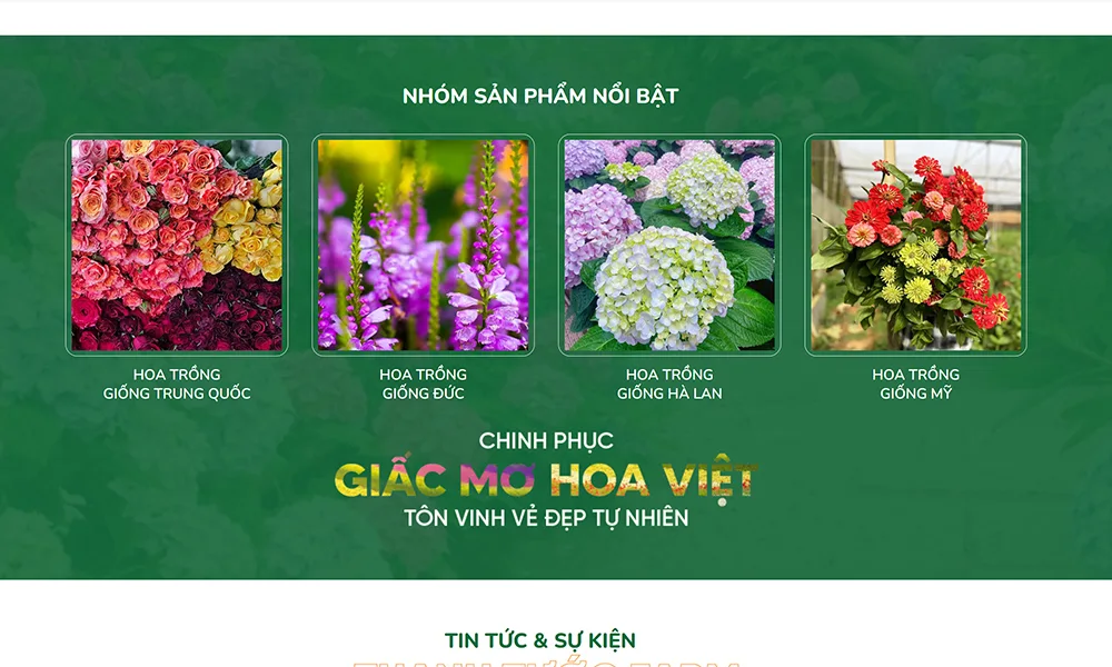 Nhóm sản phẩm nổi bật